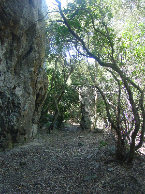 Le chemin abandonné