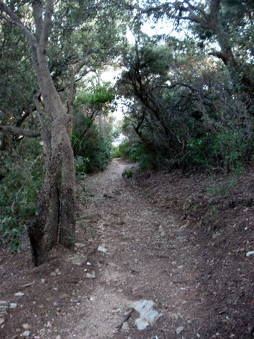 chemin des falaises